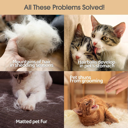 Grooming Gloves/Brushes