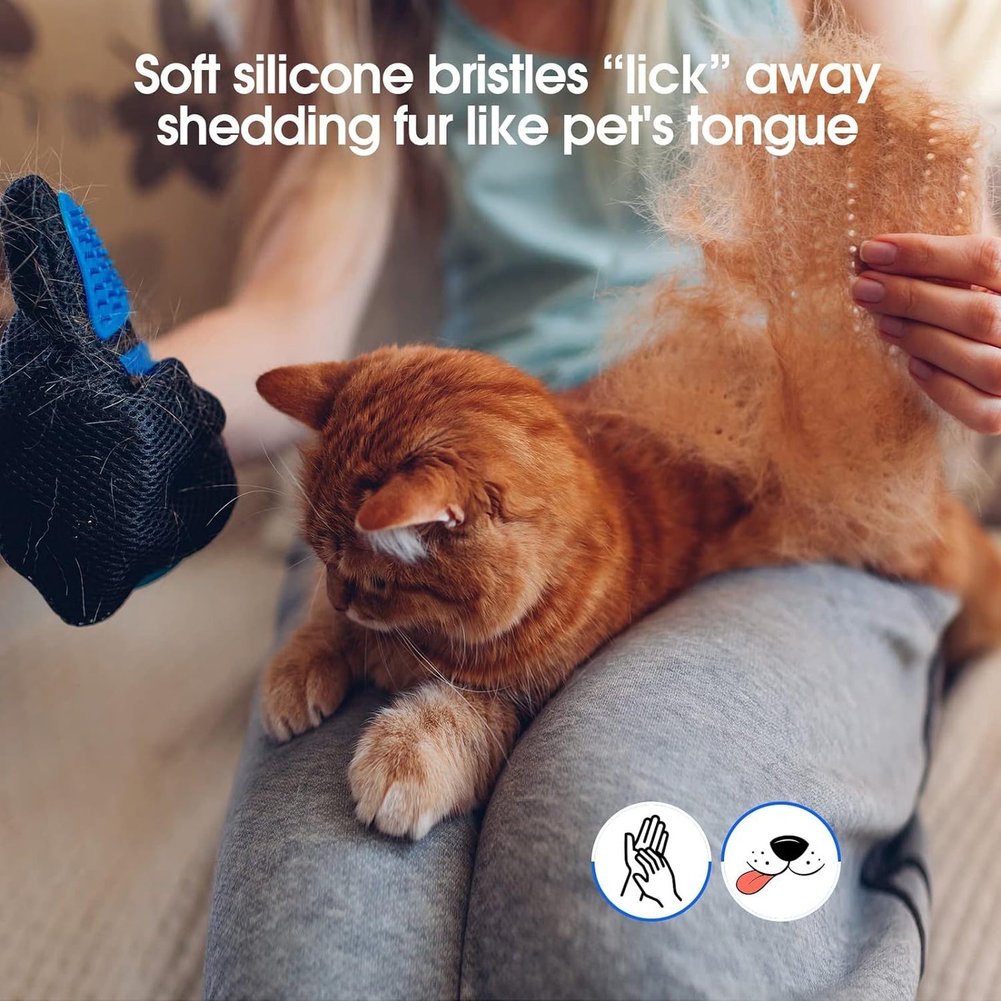 Grooming Gloves/Brushes